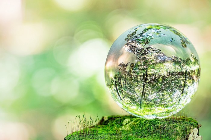 AdobeStock_171449958